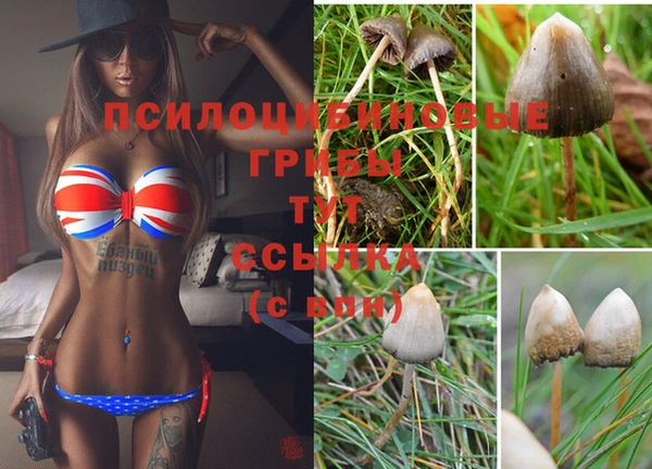 mdma Михайловка