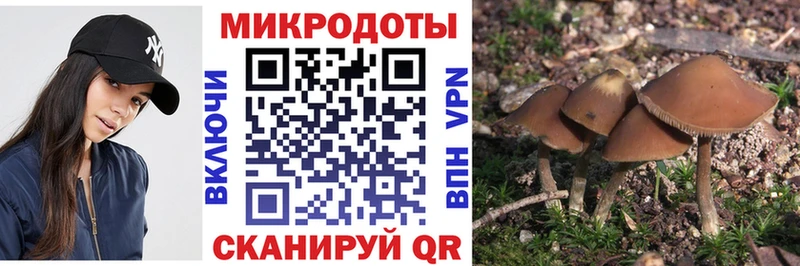 Галлюциногенные грибы Psilocybine cubensis  Болгар 